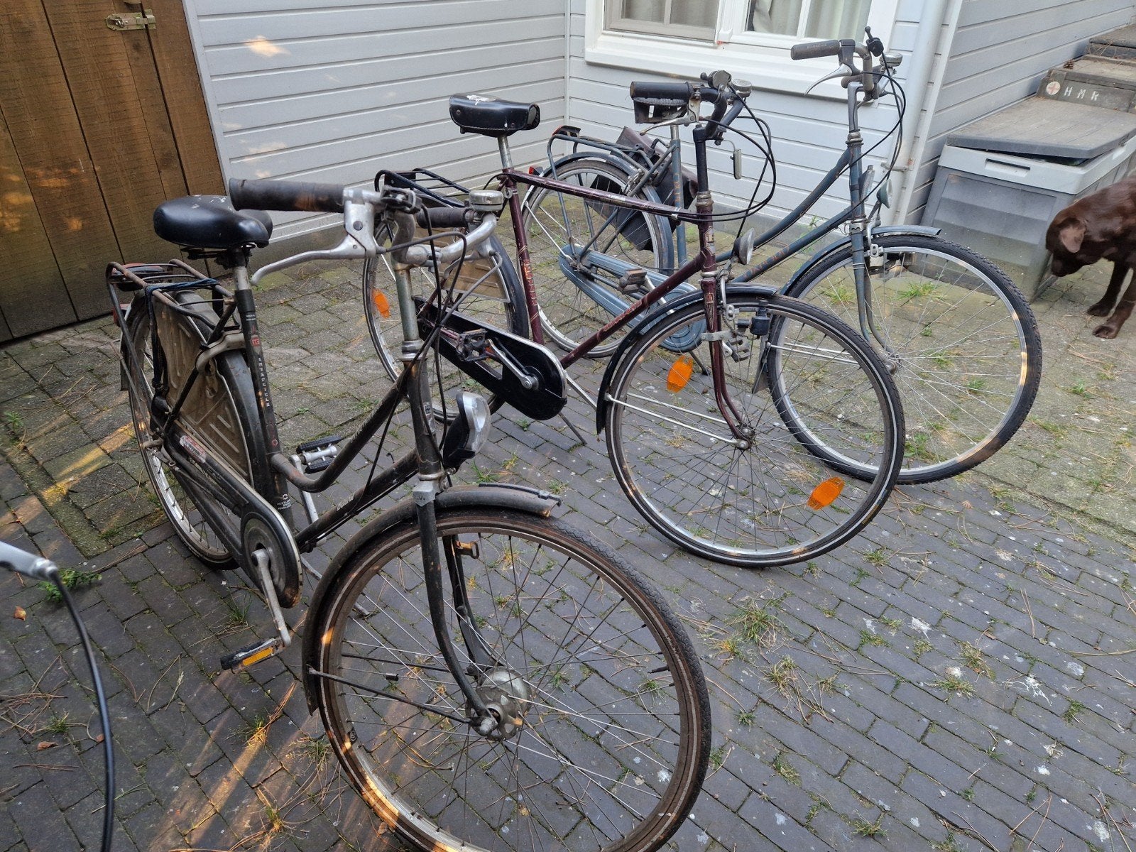 2 damesfietsen 1 herenfiets. Studentefietsen rijdende staat, Fietsen en Brommers, Ophalen