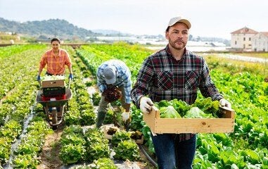 Ouvrier agricole, Offres d'emploi, Horaire variable, À partir de 10 ans, Autres formes, Convient comme travail d'appoint