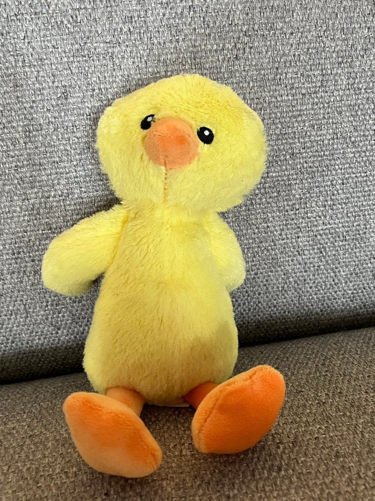 Knuffel/pluche eend klein, Ophalen of Verzenden, Zo goed als nieuw, Eend, Klein (minder dan 20 cm)