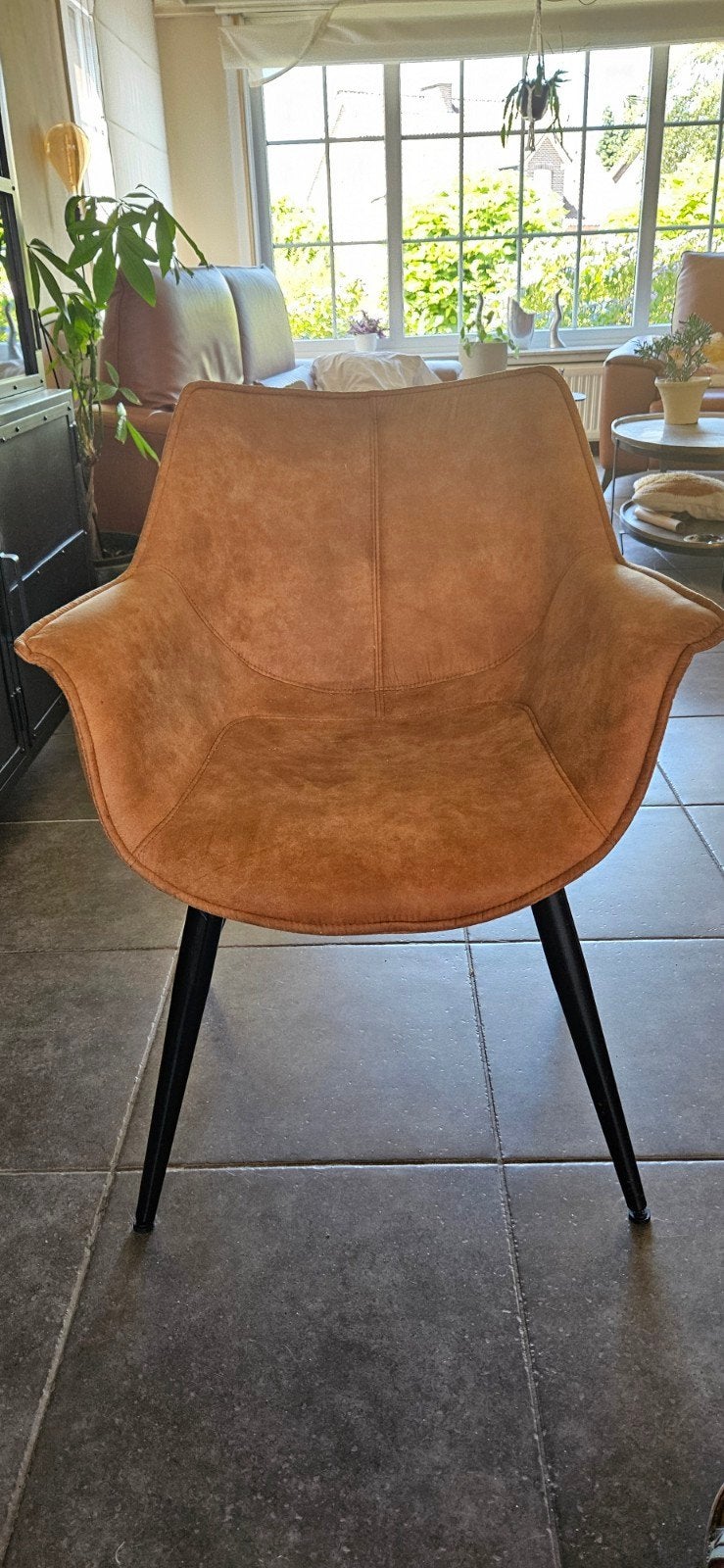 Stoelen, Enlèvement