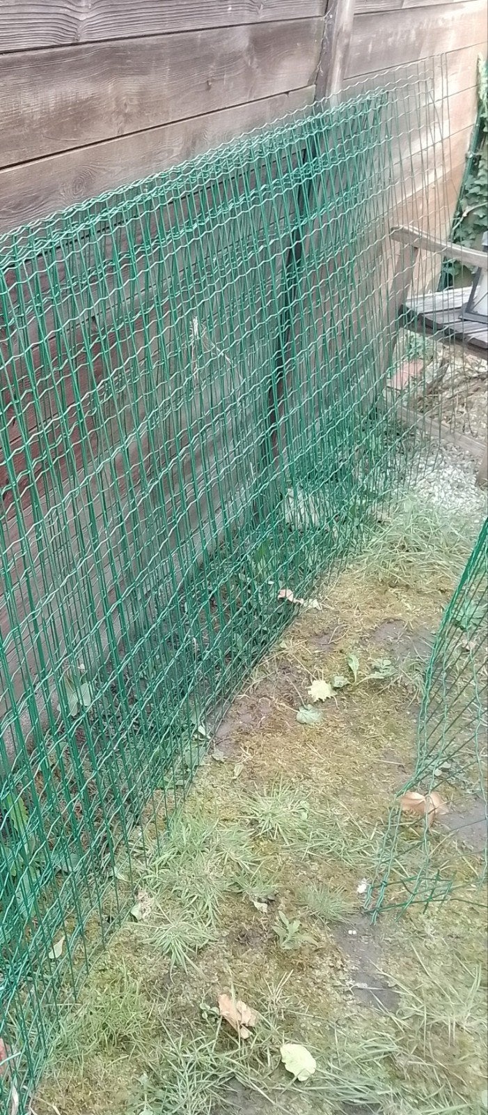 Betafence tuindraad 5 x 2 meter (palen), Tuin en Terras, Gaas en Draad, Ophalen, Zo goed als nieuw, Gaas