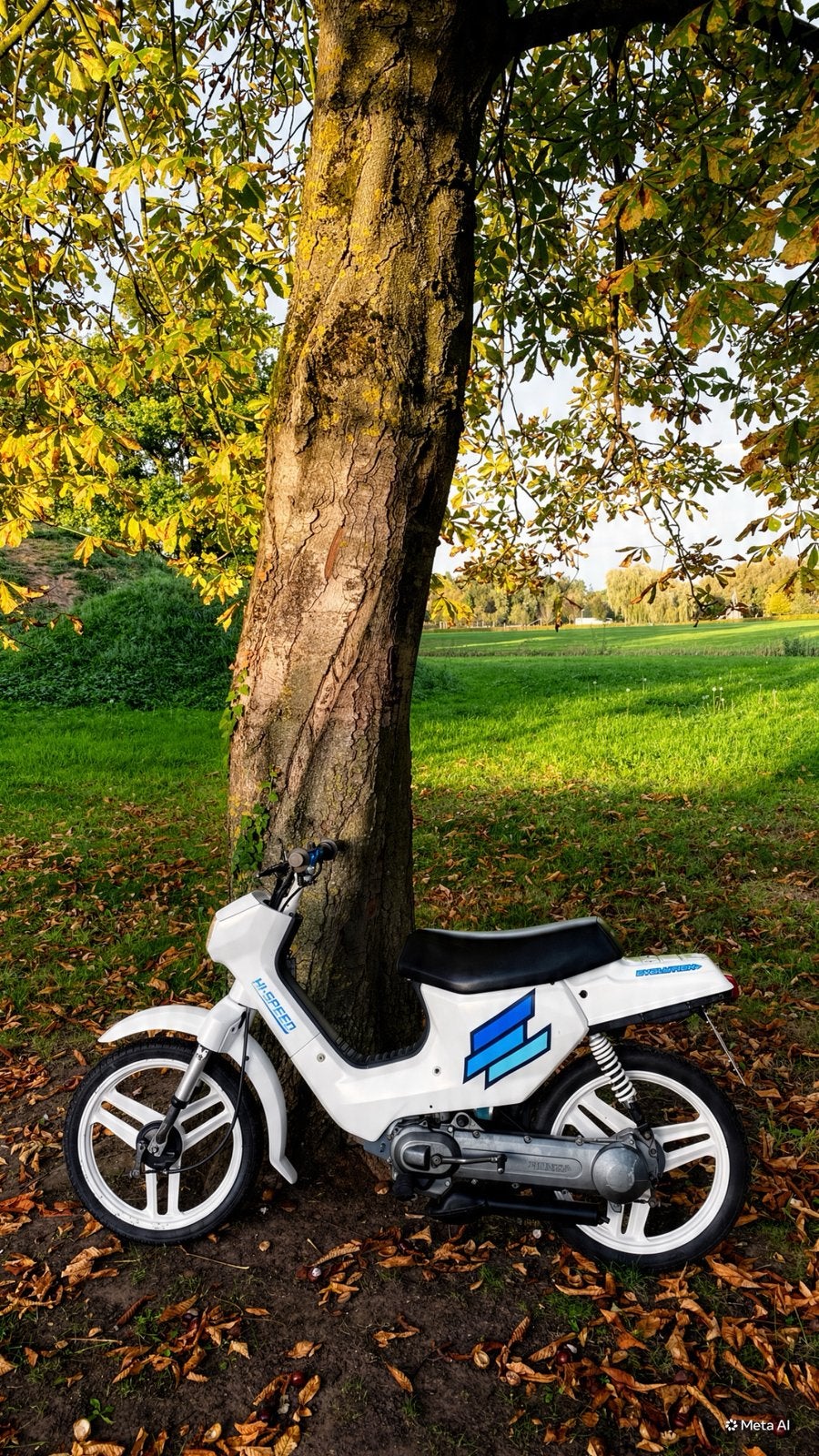 Waardepeiling wallaroo, Fietsen en Brommers, Ophalen, Gebruikt, Overige typen