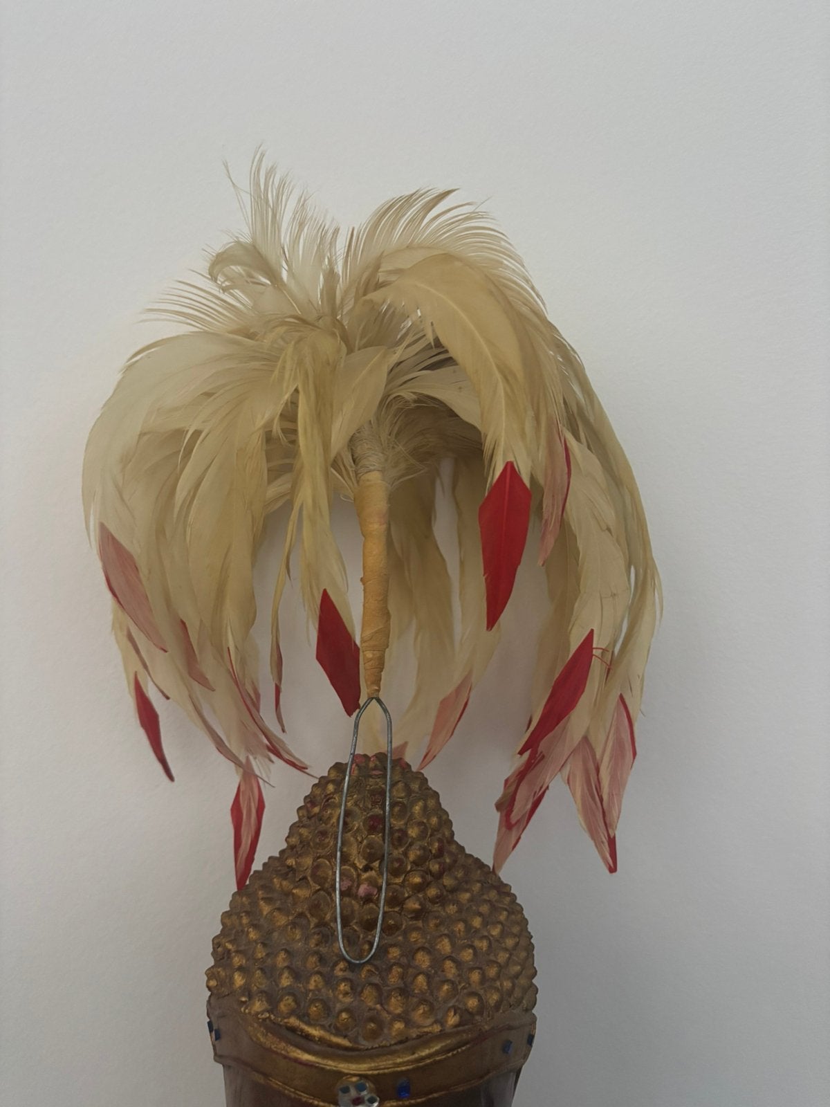 Plumet de Shako, Collections, Enlèvement ou Envoi