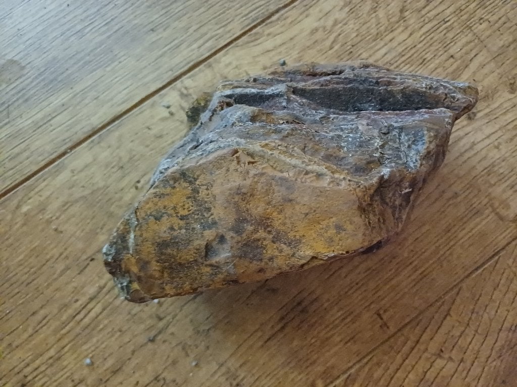 Steen, Dieren en Toebehoren, Vissen | Aquaria en Toebehoren, Ophalen of Verzenden, Zo goed als nieuw, Plant(en), Steen of Hout