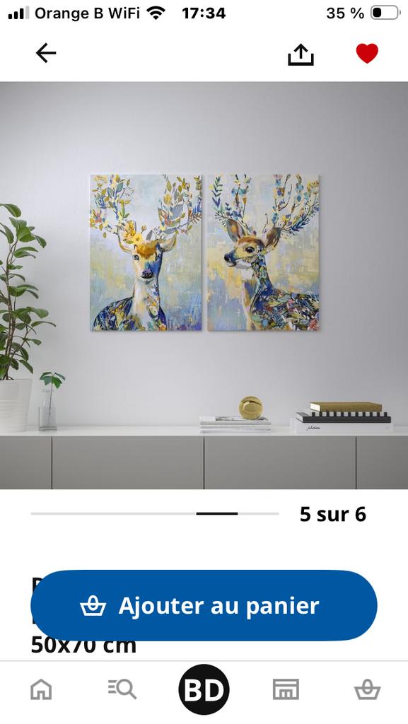 IKEA tableau reproduction RENNES 2 pieces, Maison & Meubles, Accessoires pour la Maison | Décorations murale, Neuf, Enlèvement