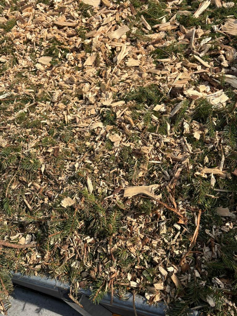 Copeaux de bois de sapin en grande quantité à donner urgente, Jardin & Terrasse, Enlèvement