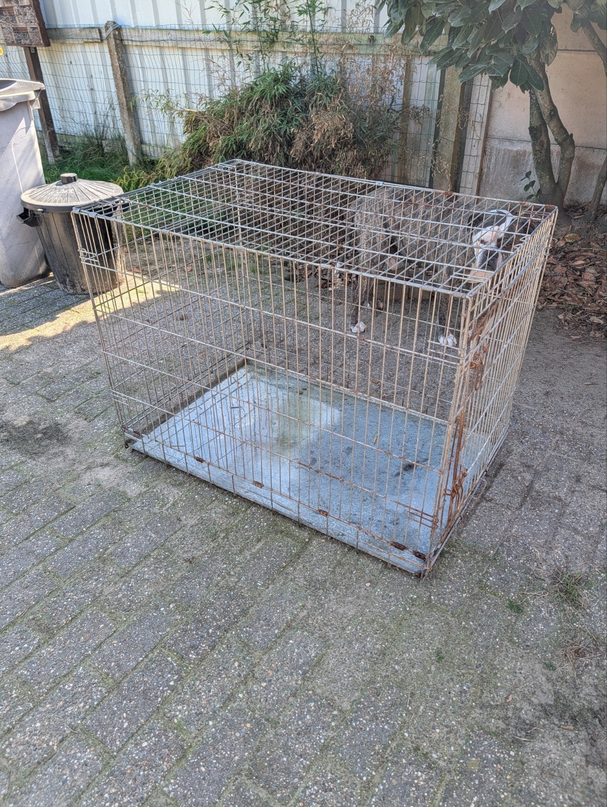 grote bench, Ophalen