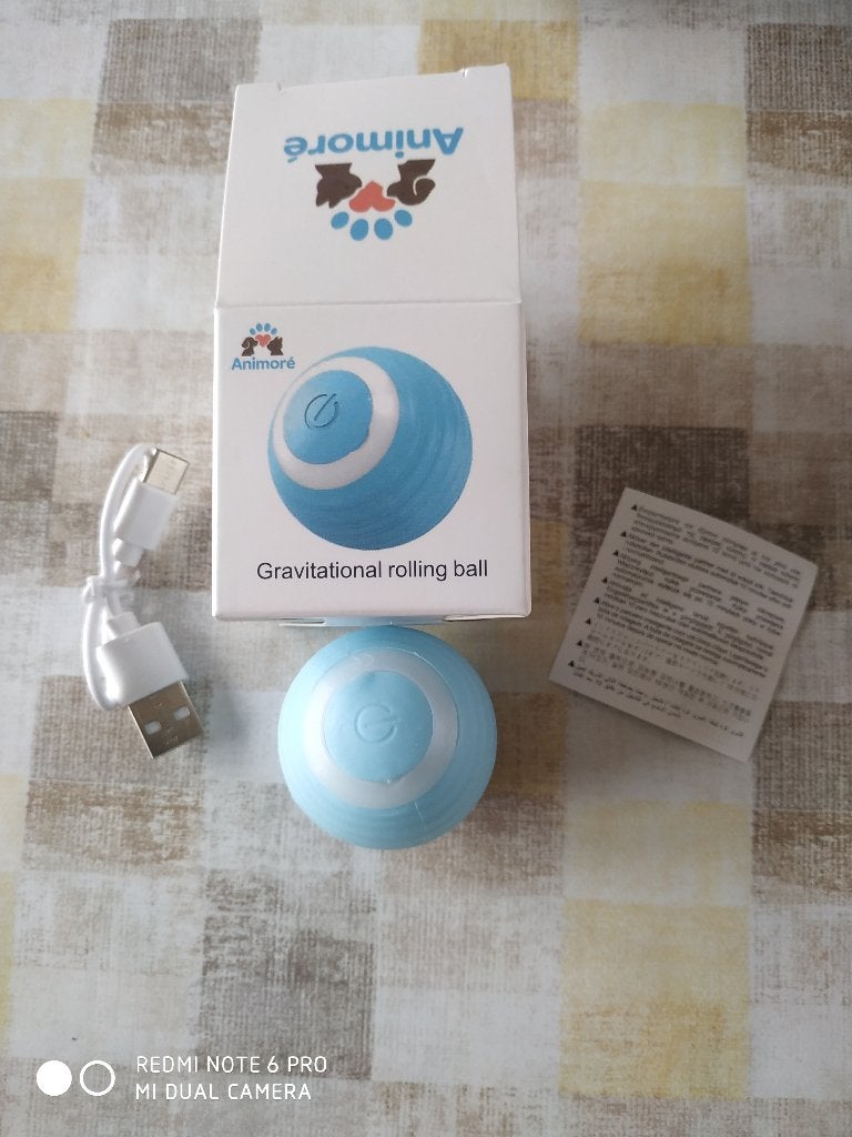 Jouet inter actif pour chat neuf, Dieren en Toebehoren, Kattenspeelgoed, Ophalen, Nieuw, Overig speelgoed