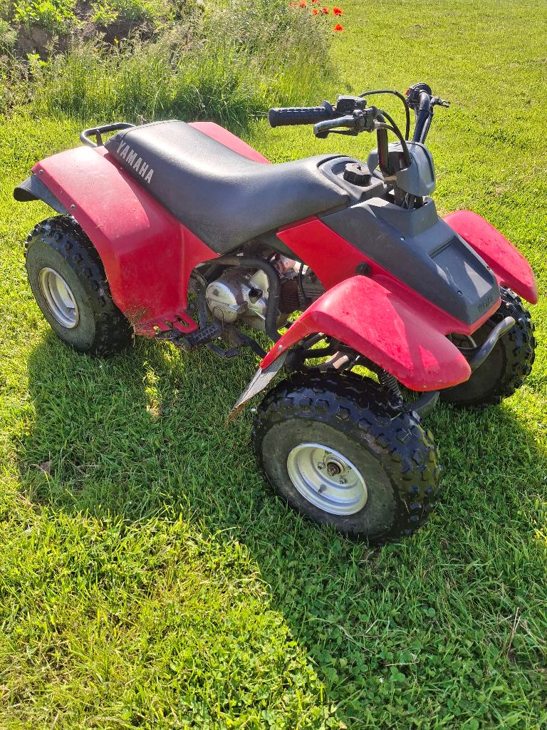 yamaha quad 80cc badger 4T, Jusqu'à 11 kW, 80 cm³, 1 cylindre