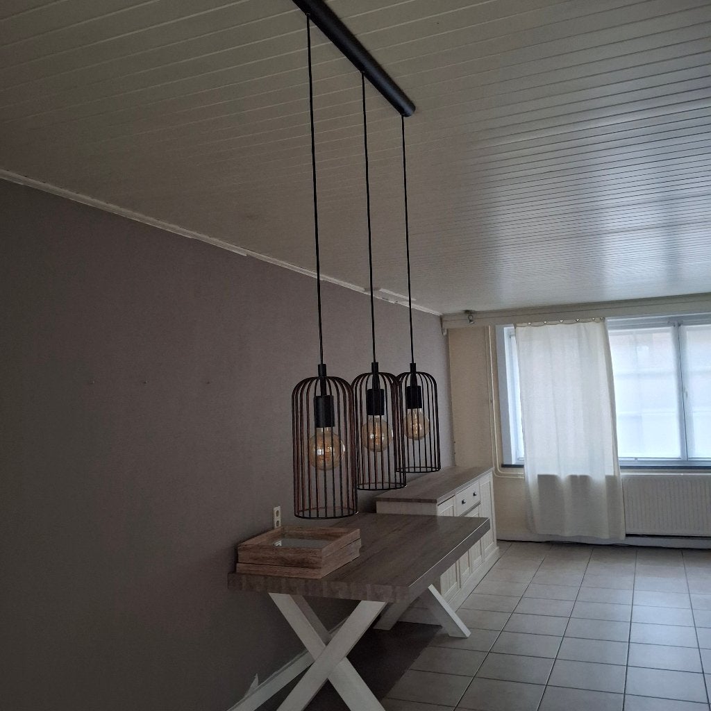 Hanglamp, Ophalen of Verzenden, Gebruikt, Metaal