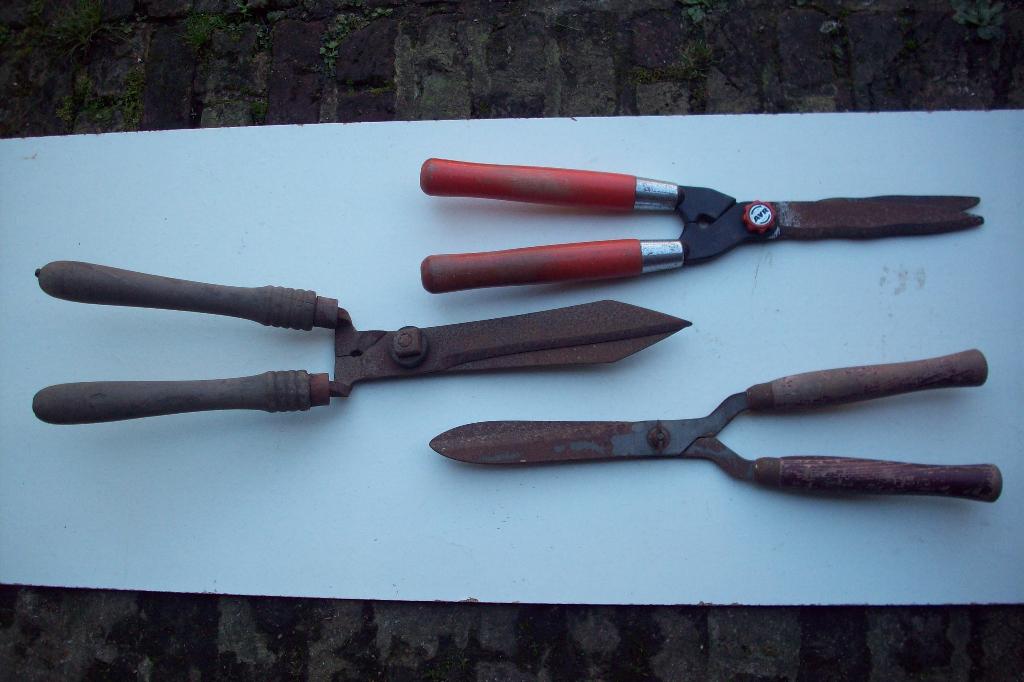 Heggenscharen, Tuin en Terras, Hand-tuingereedschap, Ophalen, Gebruikt, Overige soorten