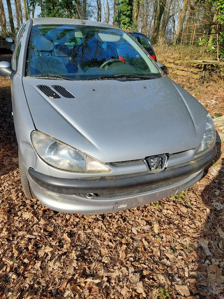 Peugeot 206 Essence, Argent ou Gris, Achat, ABS, Boîte manuelle