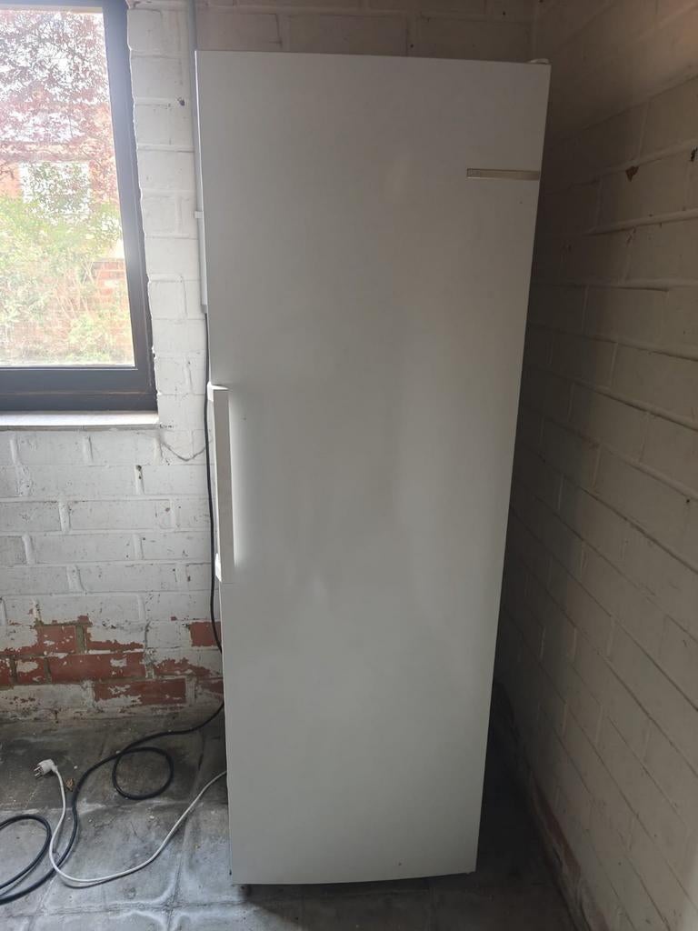 Bosch Serie 4 Vrieskast GSN33FWEV - NoFrost, Ophalen, Vrieskast