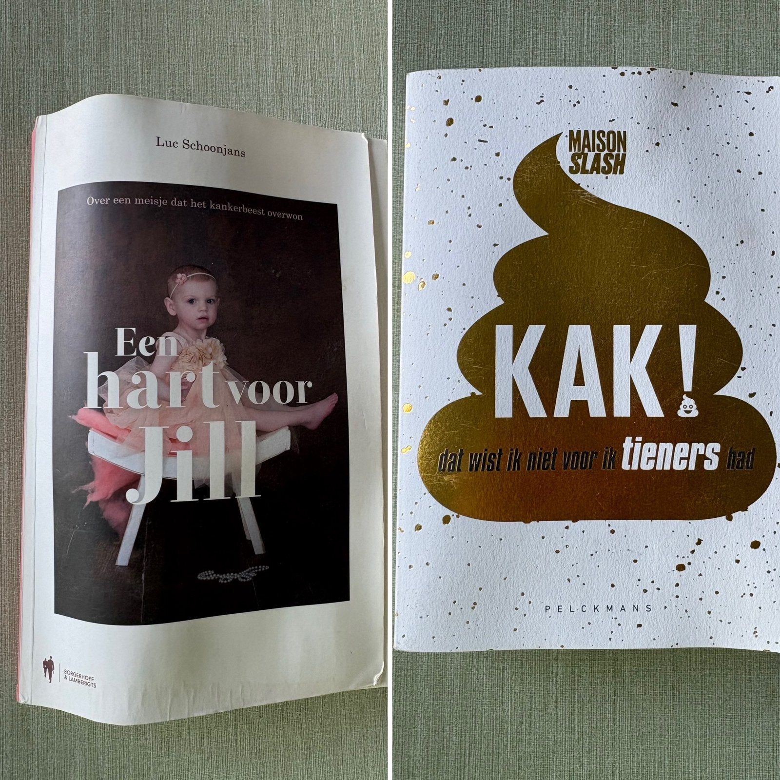 Boeken, Ophalen of Verzenden, Gelezen