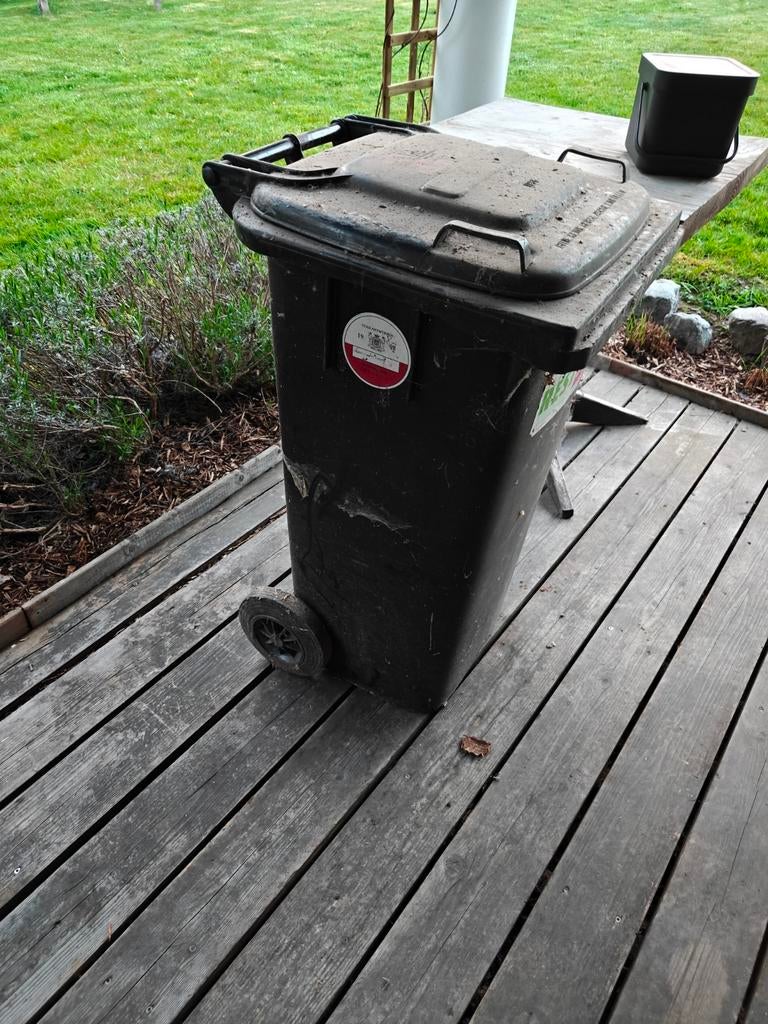 Container 120L, Ophalen