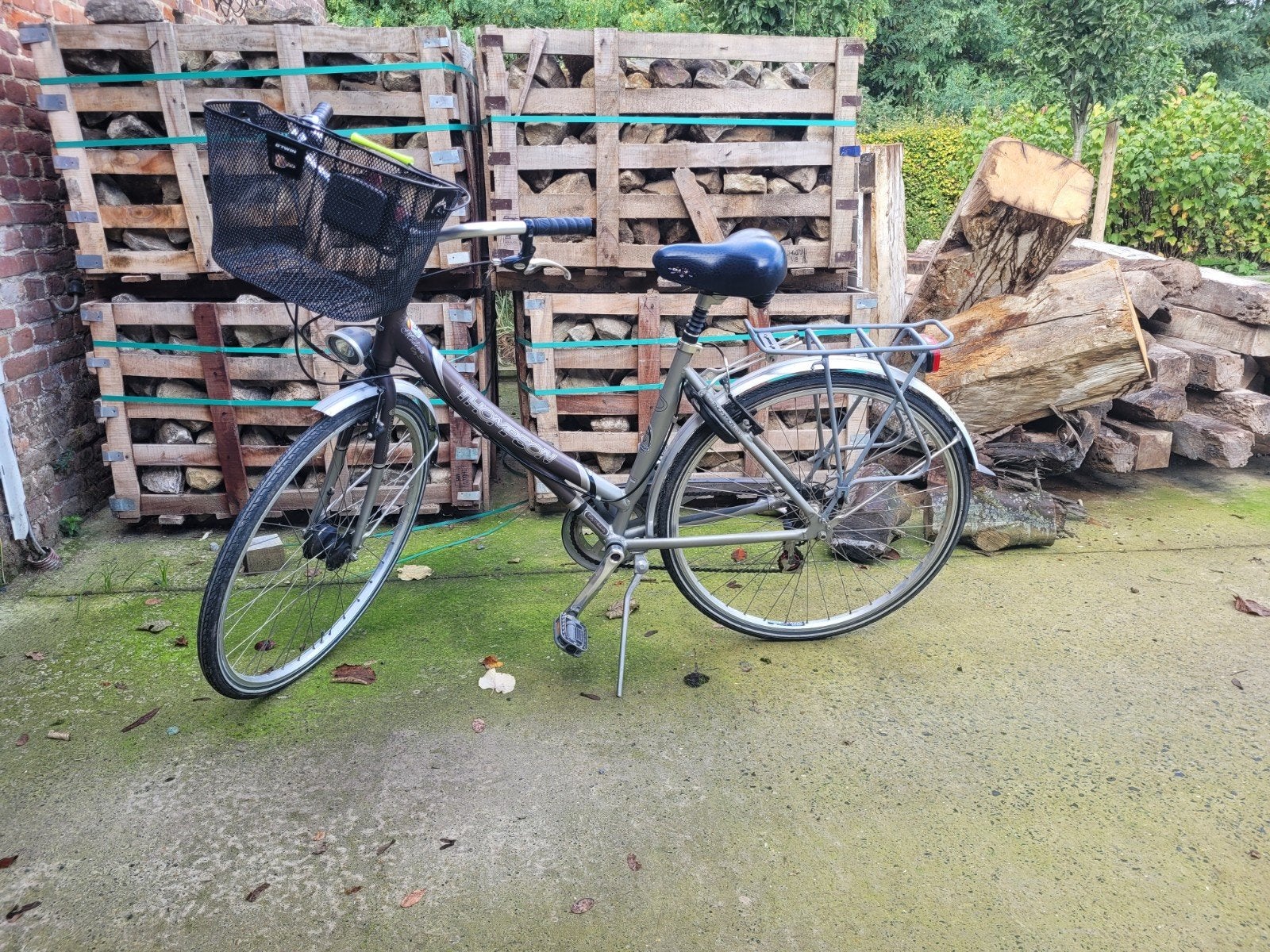 Vélo dame thompson, Enlèvement, Utilisé, Thompson