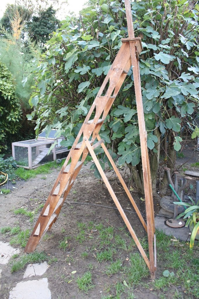 tres grande echelle en bois, Enlèvement