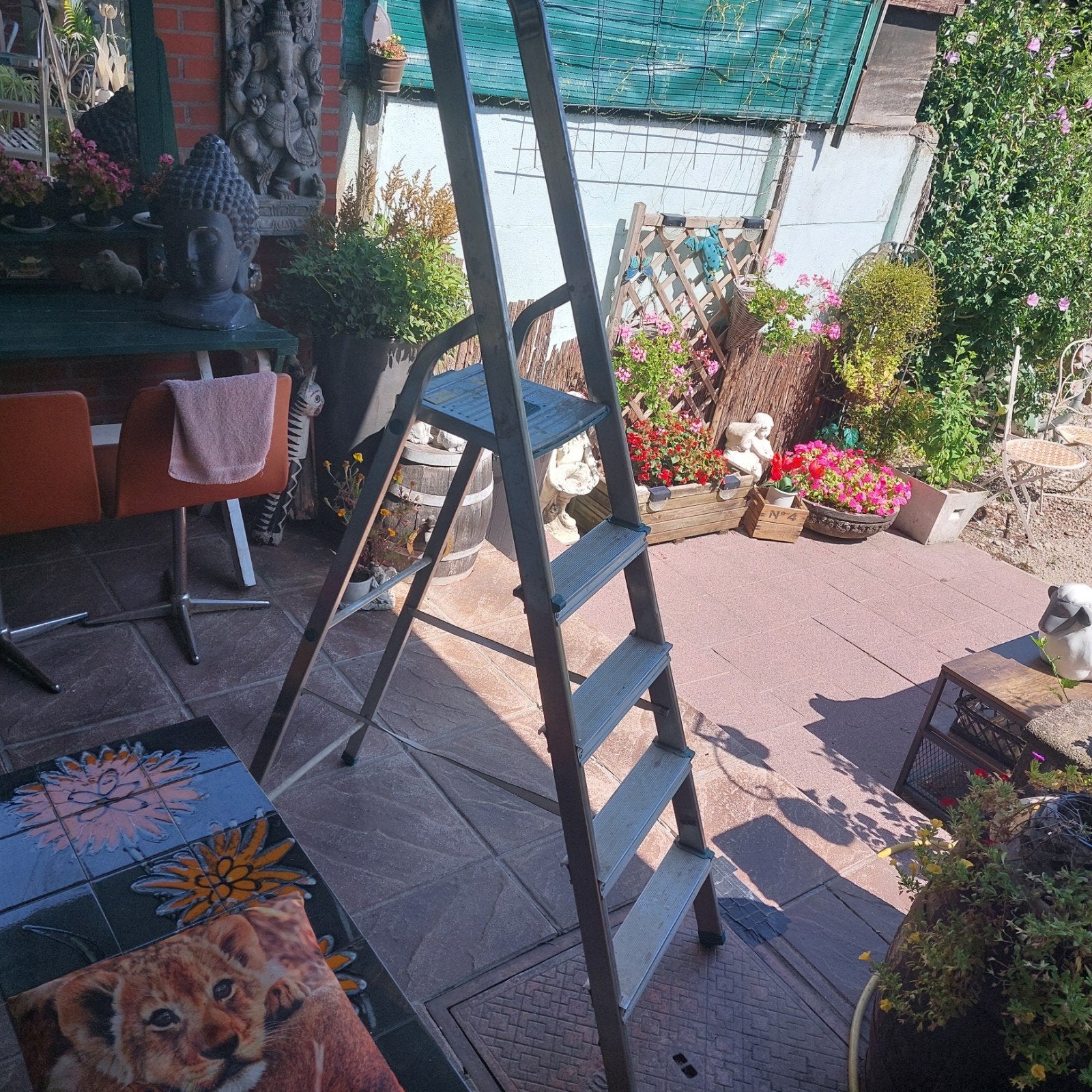 alu ladder, Doe-het-zelf en Bouw, Ladders en Trappen, Ophalen, Ladder
