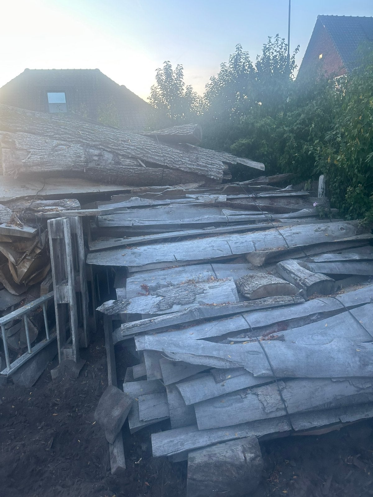 Dossen. Brand. Hout zeer lekker warme, Enlèvement, Troncs d'arbres