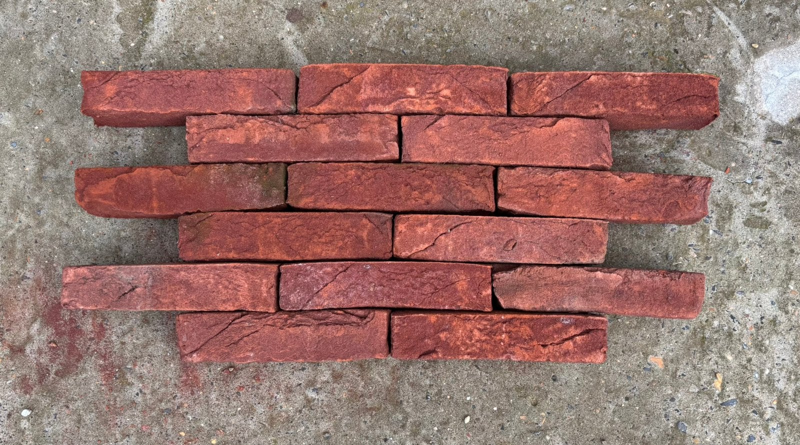 Basia Paepesteen Eco-Brick WF, Enlèvement, Neuf, Briques