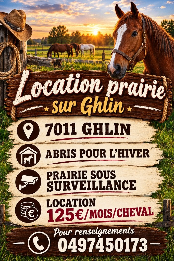 location prairie chevaux, Pâturage, 4 chevaux ou poneys ou plus