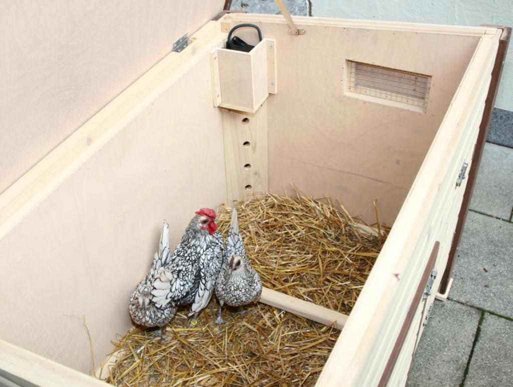 Nofrost Thermo-Kippenhok, Dieren en Toebehoren, Pluimvee | Toebehoren, Ophalen of Verzenden, Nieuw, Kippenhok of Kippenren