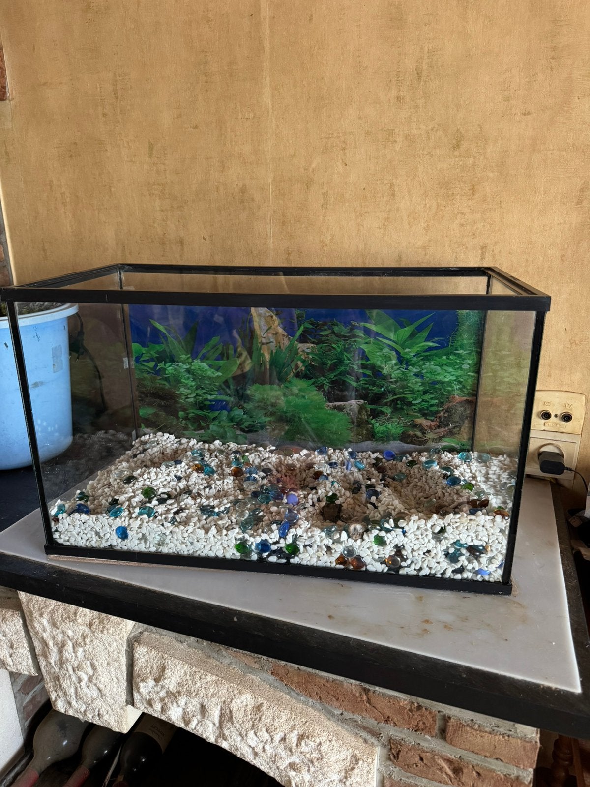 aquarium in liedekerke, Animaux & Accessoires, Enlèvement, Pompe, Utilisé, Filter