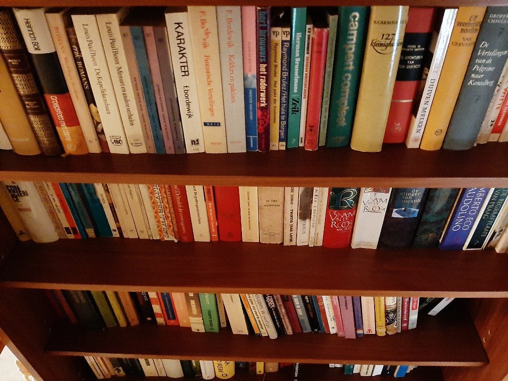 Groot Pakket boeken te koop / los te koop, Ophalen of Verzenden