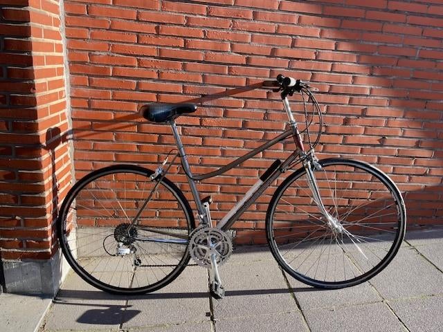 sportieve damesfiets, Gebruikt, 47 tot 50 cm, Meer dan 20 versnellingen, Ophalen