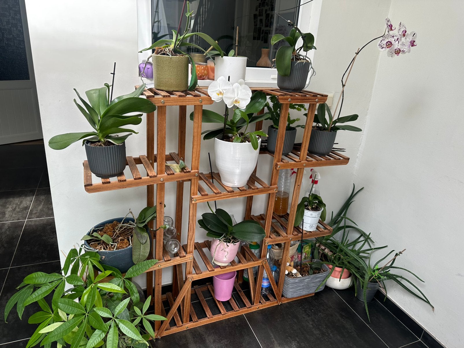 Plantenrek binnen hout, Huis en Inrichting, Kamerplanten, Ophalen
