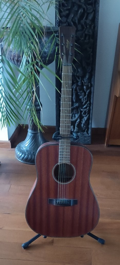 Gitaar, Ophalen, Zo goed als nieuw, Western- of Steelstringgitaar