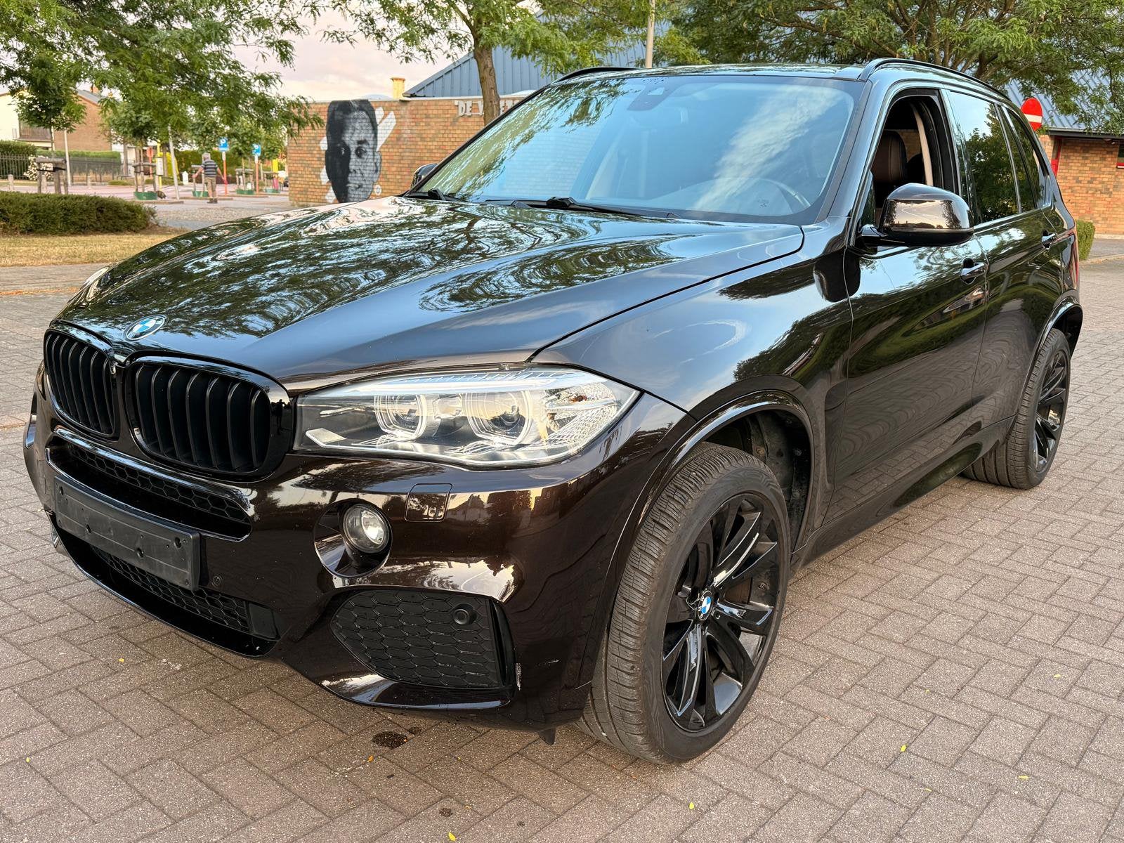 (Keuring) BMW X5 sDrive25d Bi-Turbo | 7-Zit | High Exec,…, Autos, BMW, Entreprise, Achat, X5, ABS, Diesel, Euro 6, Automatique