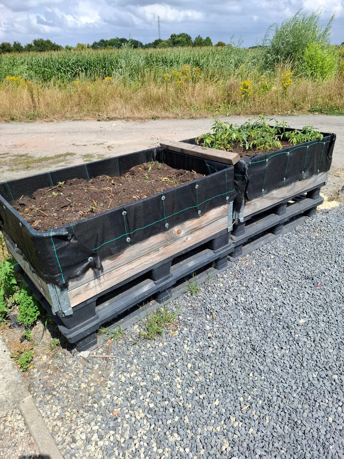 moestuinbakken, Tuin en Terras, Ophalen