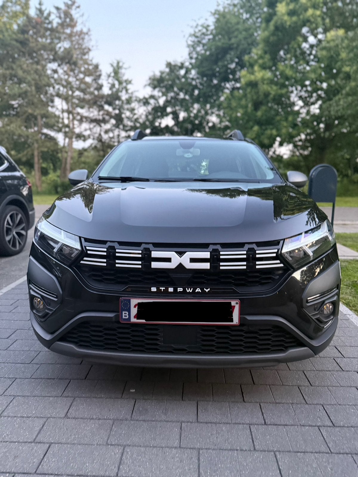 Dacia Sandero, Autos, Dacia, Particulier, Sandero Stepway, ABS, Caméra de recul, Airbags, Air conditionné, Bluetooth, Ordinateur de bord