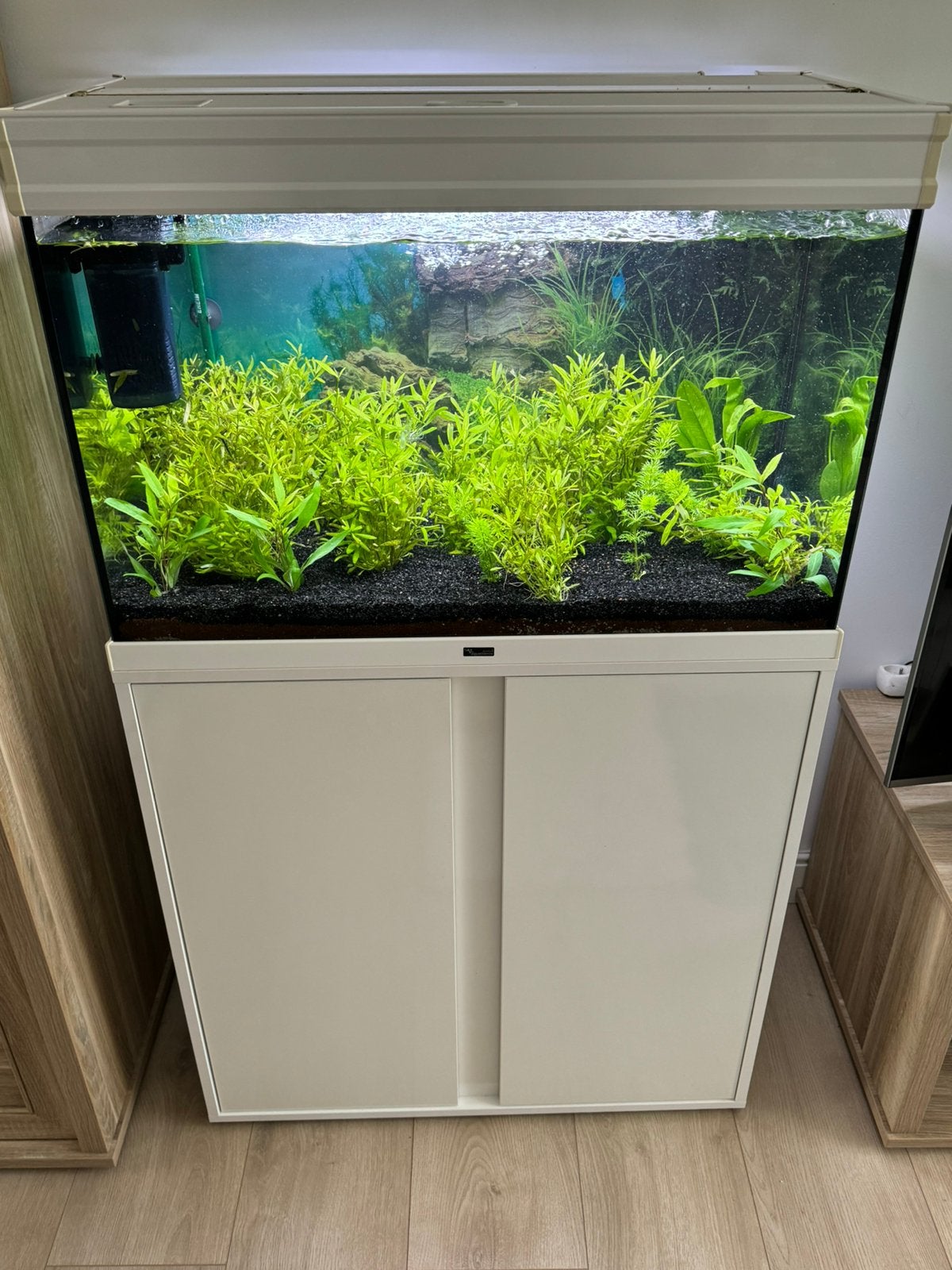 Aquaruim, Ophalen, Aquatlantis, Inclusief deksel, Gevuld zoetwateraquarium