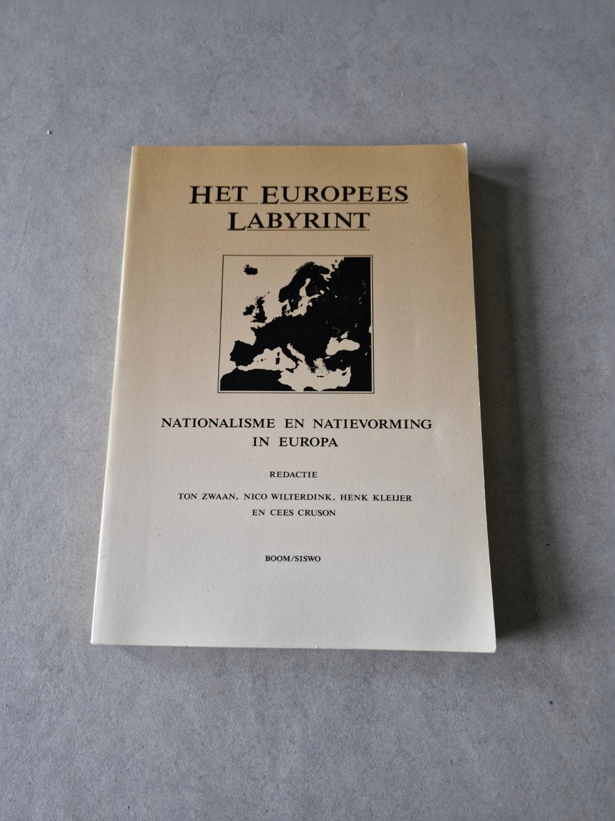 Het Europees labyrint - Ton Zwaan, Gelezen, Ophalen of Verzenden, Politiek en Staatkunde, Ton Zwaan