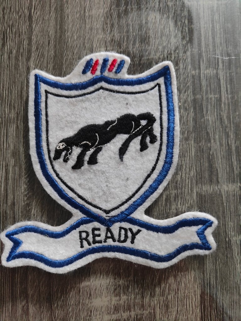 505th Airborne Infantry Regiment Patch Ready, Verzamelen, Ophalen of Verzenden
