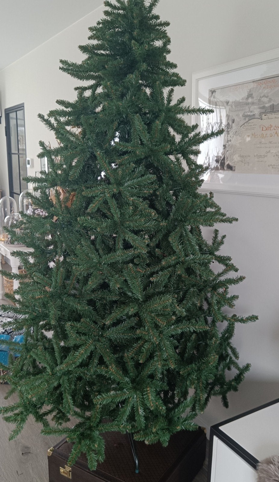 Triumph tree kerstboom
Matterhorn fir green premium
2m15 hoo, Diversen, Kerst, Ophalen