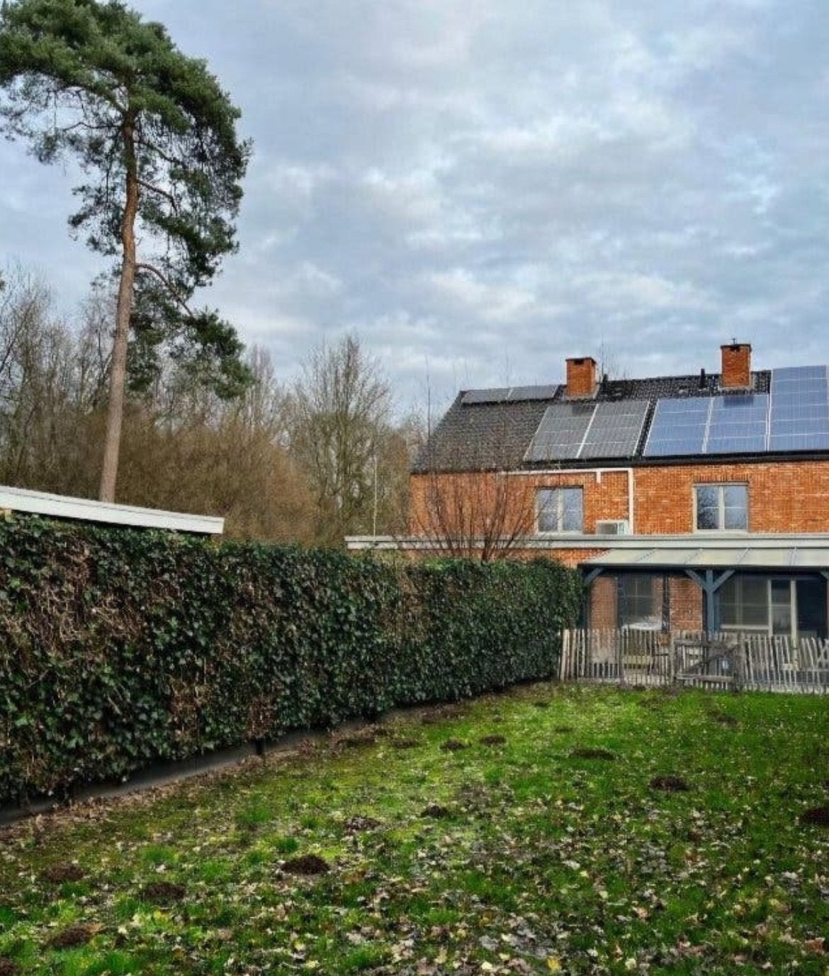 Huis Te Huur ( Wilrijk Antwerpen ), Huur