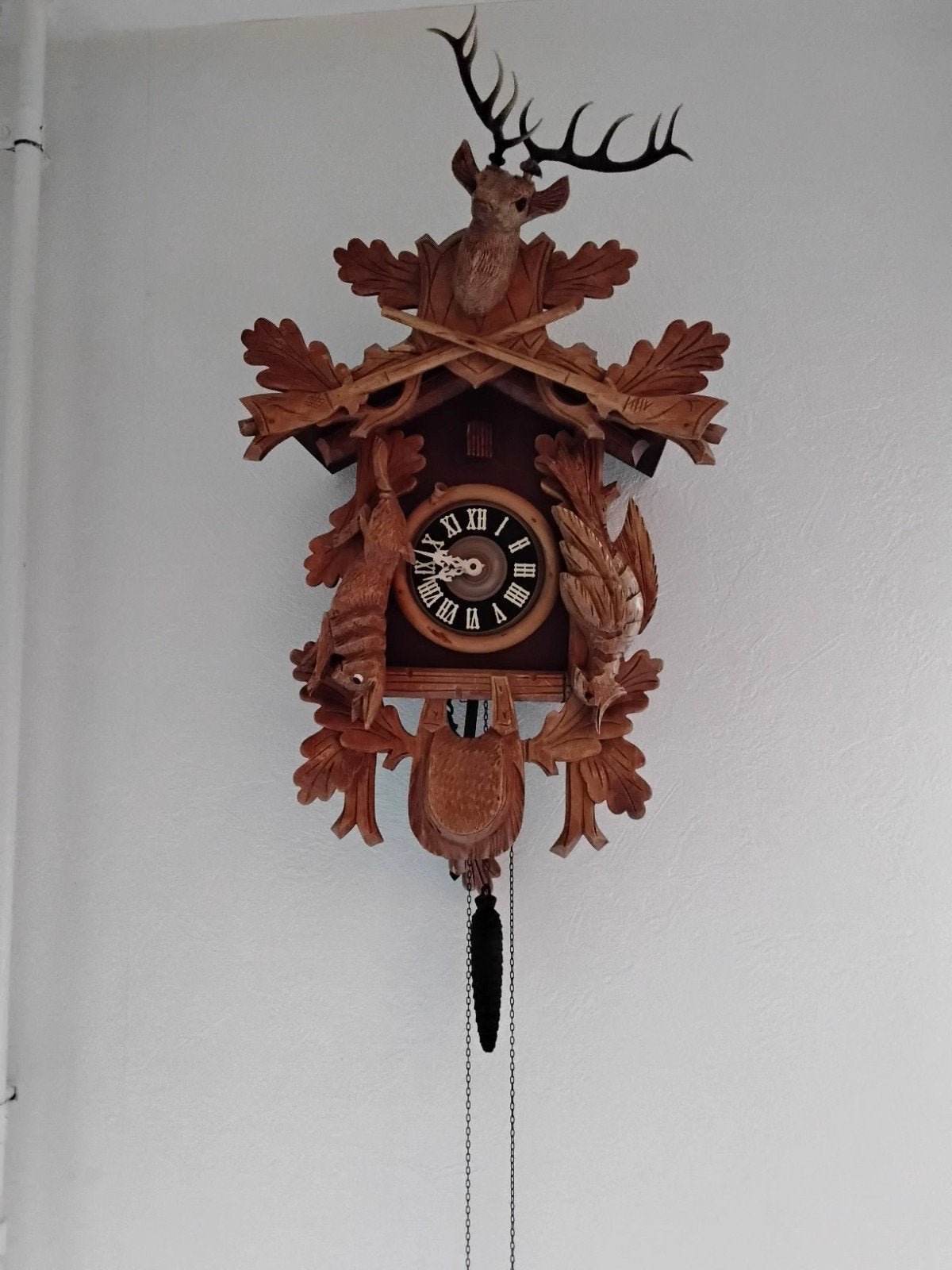 koekoeksklok, Ophalen