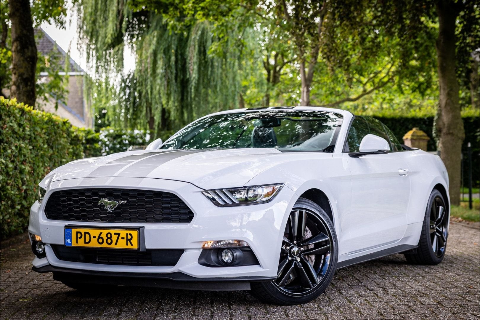 Ford Mustang Convertible 2.3 EcoBoost Stoelventilatie Shaker, Auto's, Zwart, Cabriolet, Parkeersensor, Wit