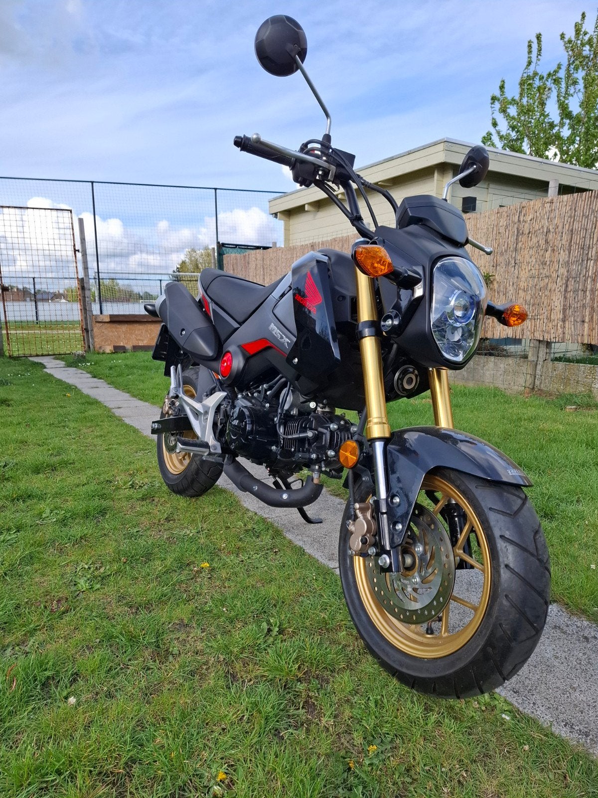 Honda msx 125cc, Occasion, 125 cm³, 1 cylindre, Manuelle