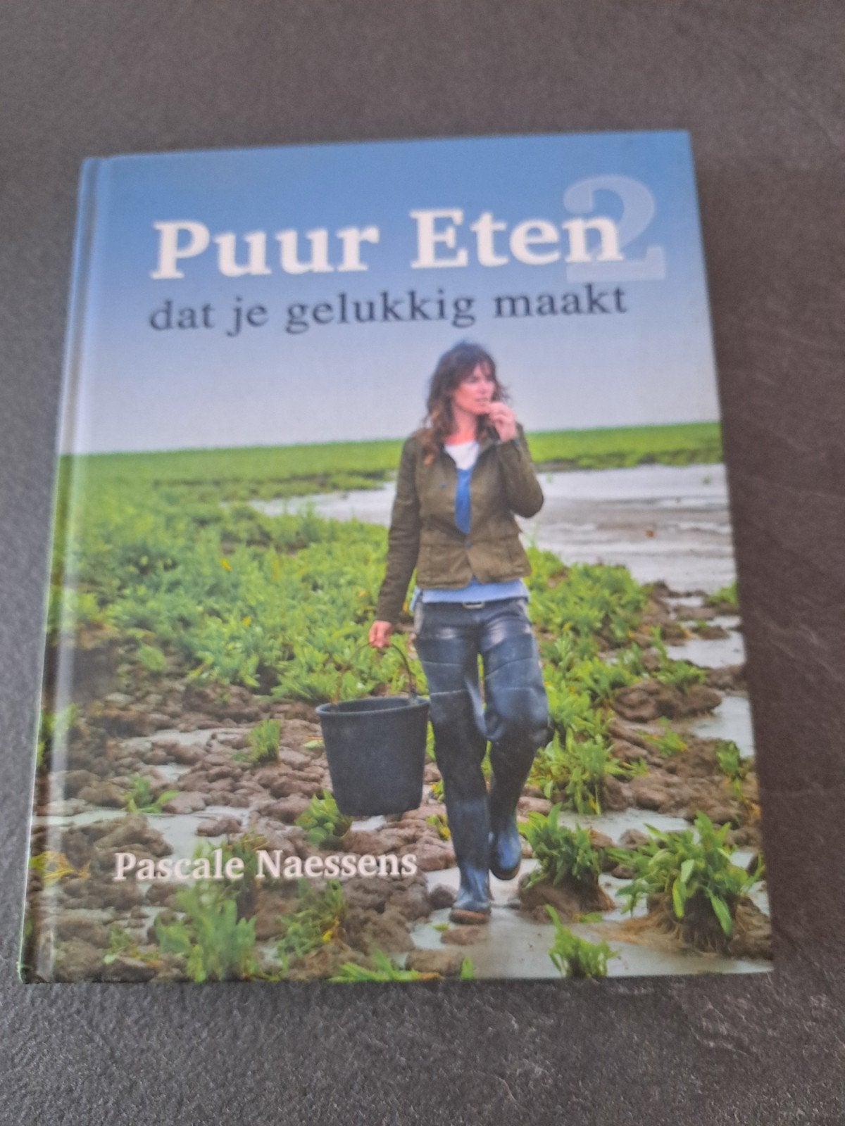 Pascale Naessens - Puur Eten 2, Boeken, Ophalen, Pascale Naessens