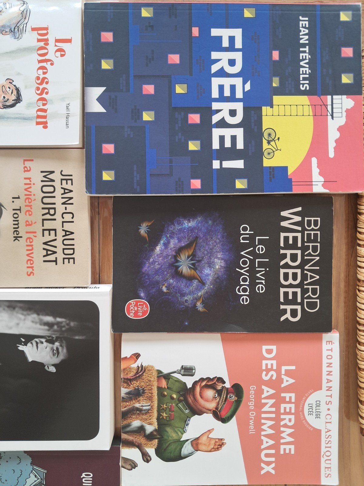 Livres très bel état, Livres, Aventure & Action