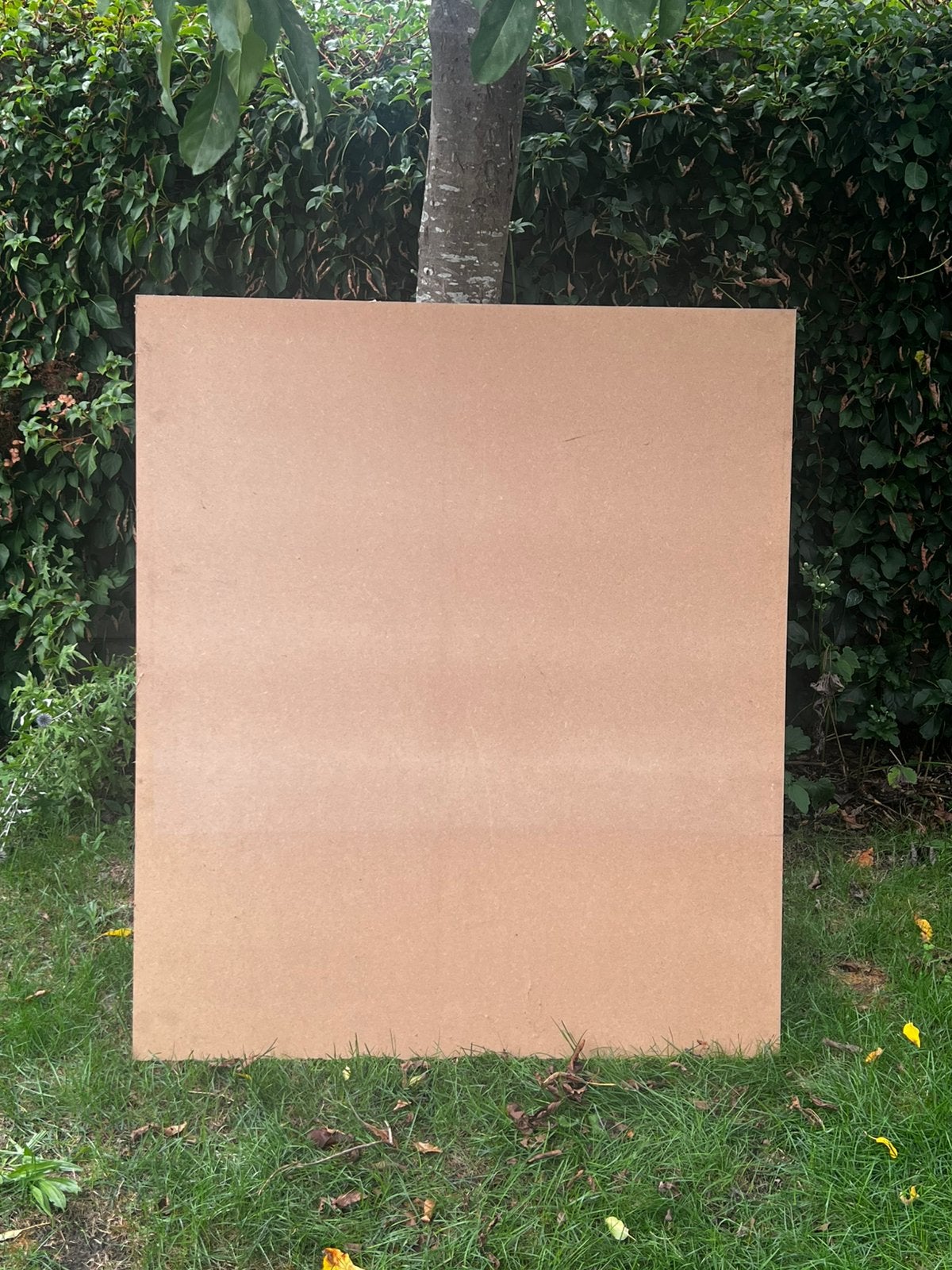 MDF plaat overschot, Doe-het-zelf en Bouw, Ophalen, Zo goed als nieuw, Minder dan 25 mm