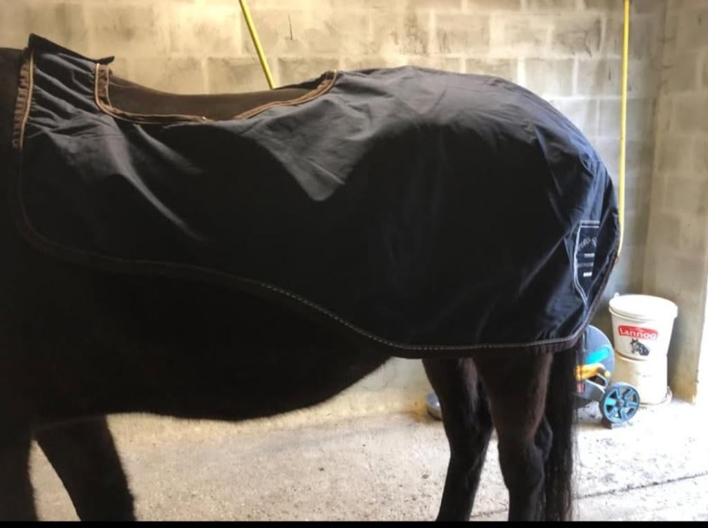 Zweetdekens/ uitrijdeken/ oornetjes/ bandages, Enlèvement ou Envoi, Comme neuf, Équitation