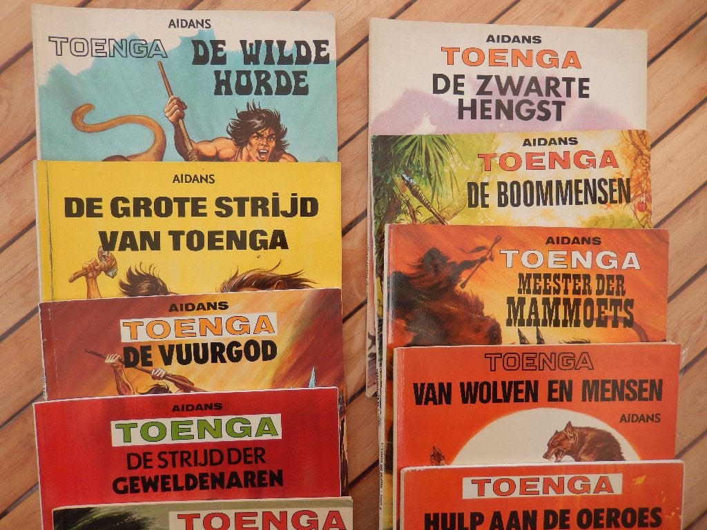 TOENGA, Boeken, Gelezen, Ophalen of Verzenden, Aidans, Meerdere stripboeken