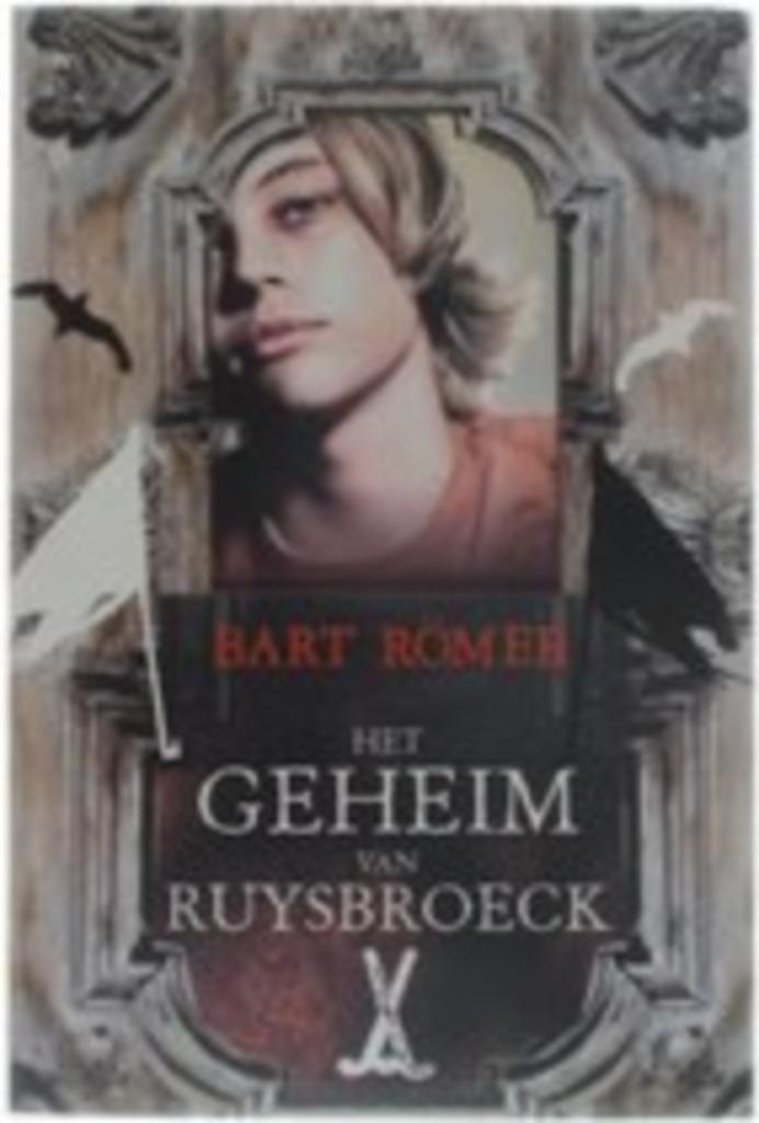 Bart Romer / keuze uit 2 boeken, Ophalen of Verzenden, Zo goed als nieuw