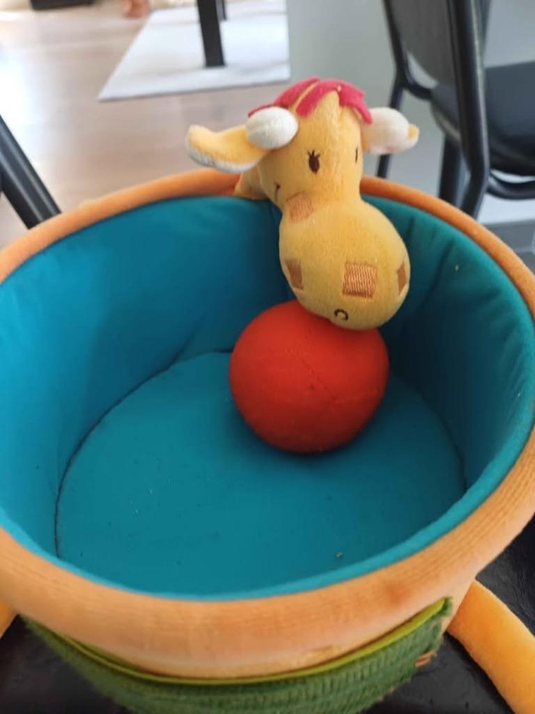 Lilliputiens speelgoed, Ophalen