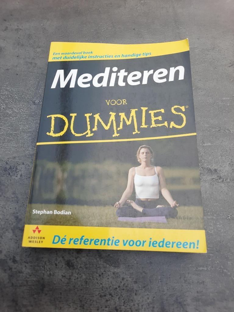 Mediteren voor Dummies, Livres, Ésotérisme & Spiritualité, Méditation ou Yoga, Stephan Bodian, Enlèvement, Utilisé
